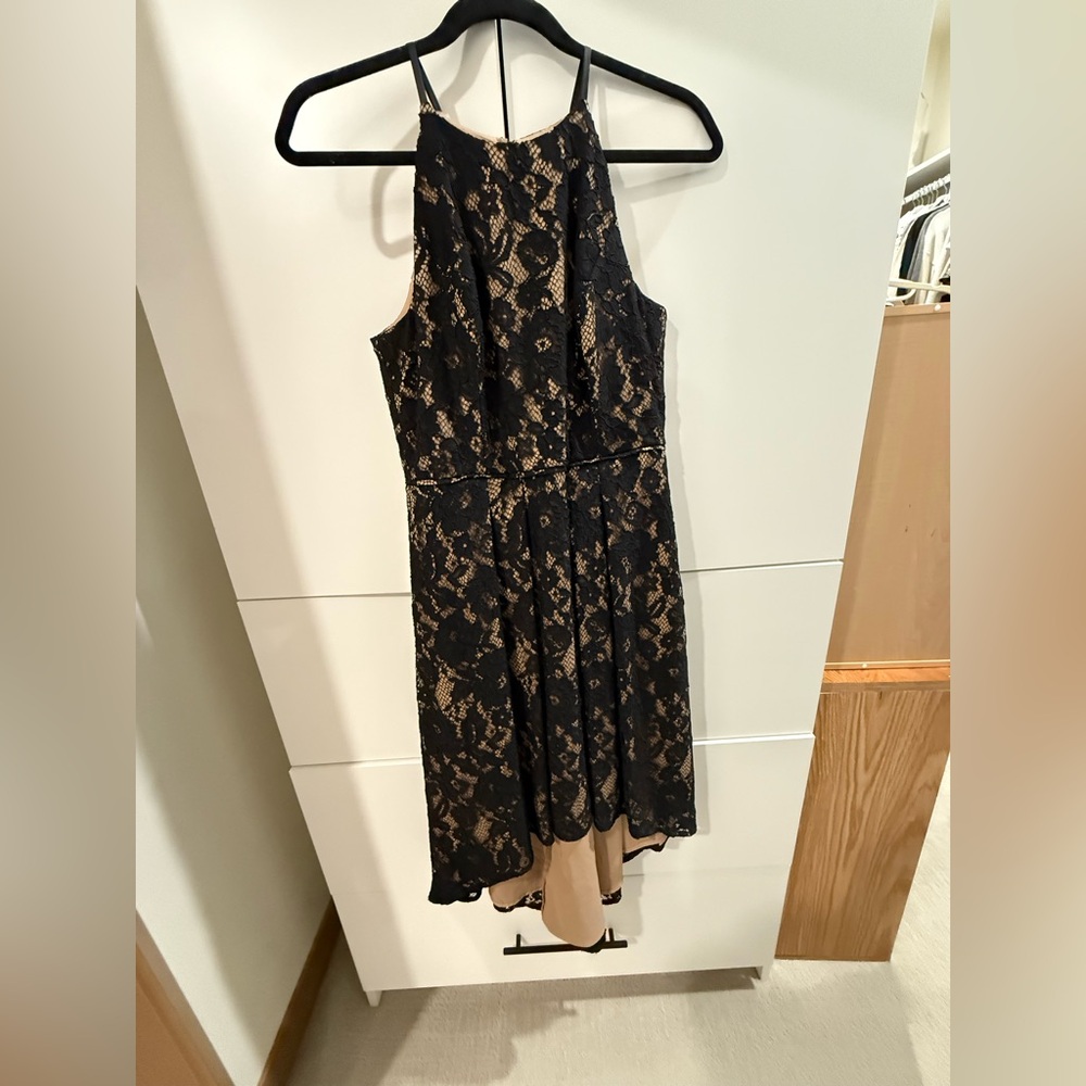 White House Black Market Black and Tan Fit and Flare Dress